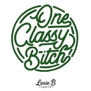Classy B Vinyl Decal Funny girl adult Sticker Car Window Laptop Decal 3.5 inch